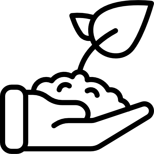 5.Plant.png