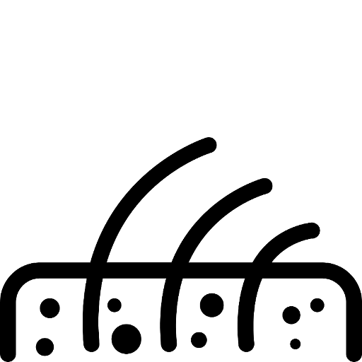 Skin.png