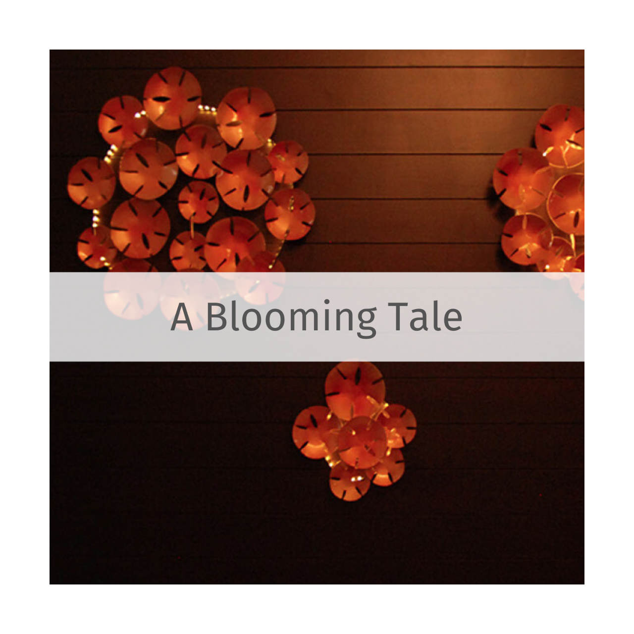 A Blooming Tale